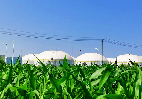 napier-grass-biogas-plant-2.jpg