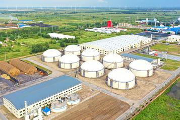 biogas-raw-materials-79.jpg